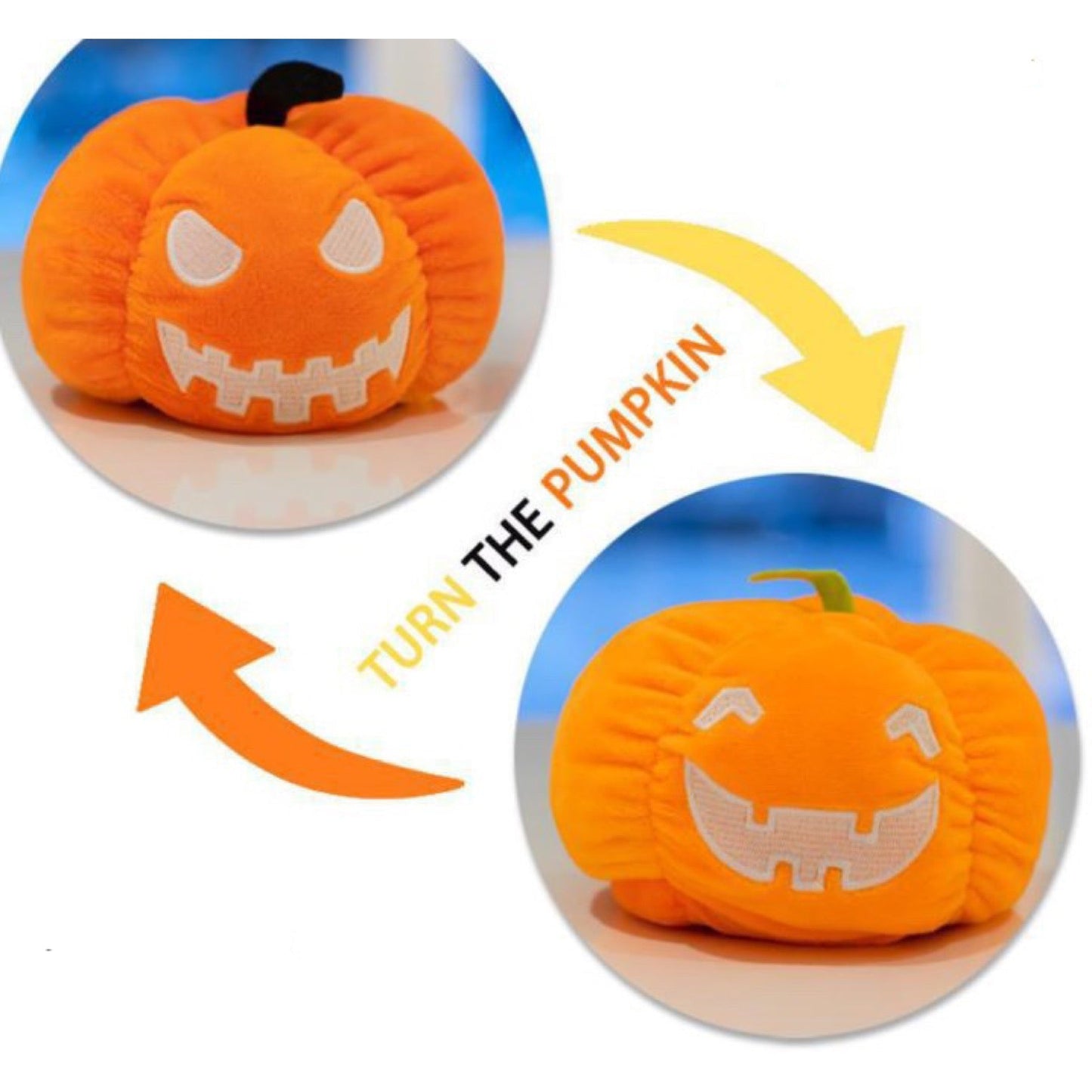 Moody Animals - Pumpkins, Ghost, Dog, & Cat